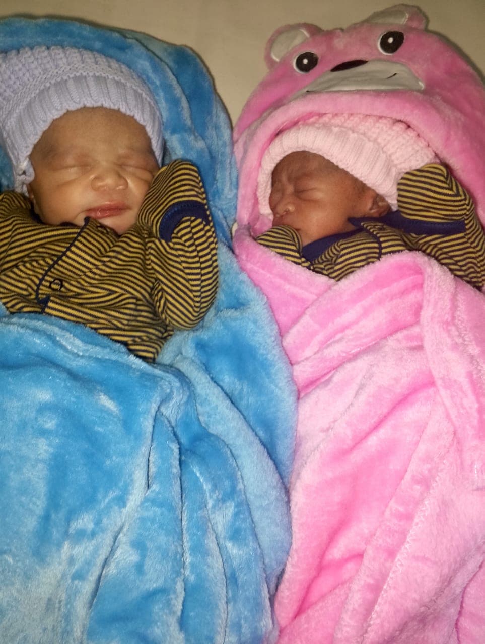 Twin babies in blue and pink at CORE Fertility Clinic