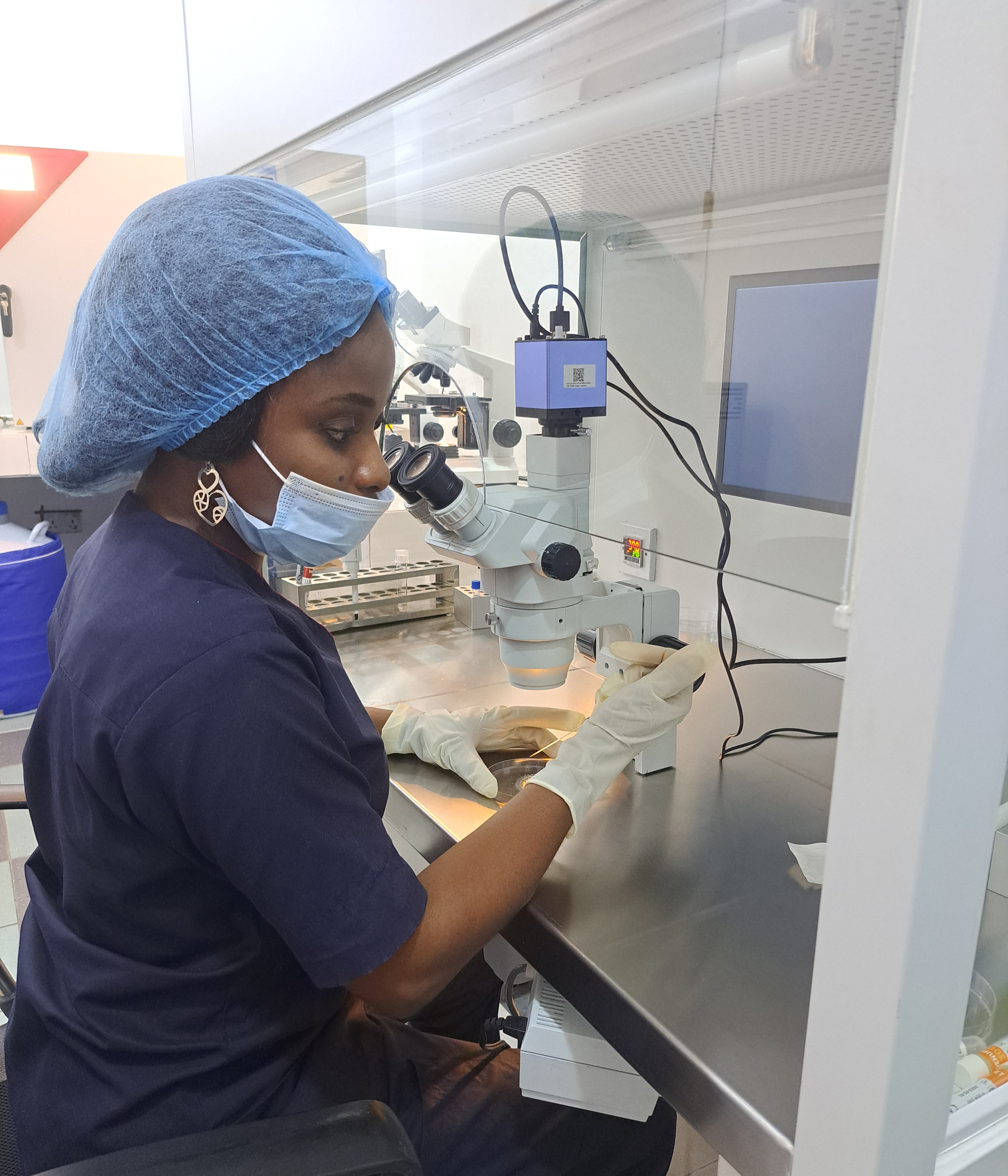 Nurse examining through microscope